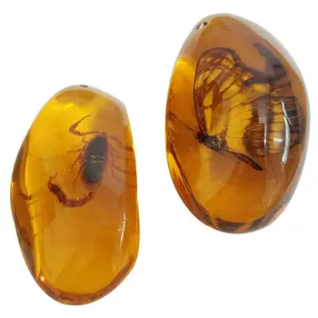 2 Kos DIY Pravi Obesek Ireegular Insektov Vzorcu Amber Obesek DIY Nakit, Pribor Za Ogrlico, zaradi Česar (Naključno Barvo)