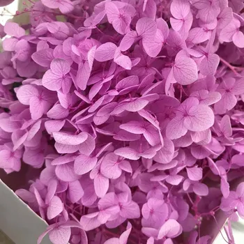 20 G Konzervirane Cvetje Viburnum Macrocephalum,Suho Naravno Sveže Vedno Hydrangea Eternelle Rose,DIY Nesmrtno Rožo Materiala