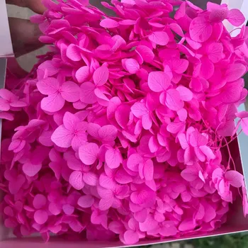 20 G Konzervirane Cvetje Viburnum Macrocephalum,Suho Naravno Sveže Vedno Hydrangea Eternelle Rose,DIY Nesmrtno Rožo Materiala