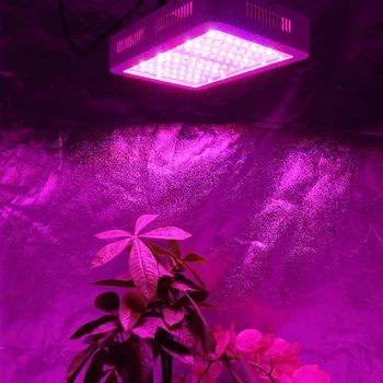 2pcs/veliko 1000W LED Rastejo Luči Celoten Spekter Dvojno Čip Rast Ffs Lučka za Cultivo Toplogrednih Hydroponic Šotor Sobne Rastline