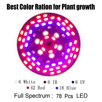 Celoten Spekter Led Rastlin Luči 30W50W80W Toplogrednih Sajenje Fill Light Proizvajalec Neposredno led grow light