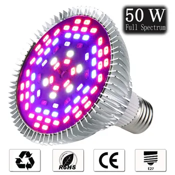 Celoten Spekter Led Rastlin Luči 30W50W80W Toplogrednih Sajenje Fill Light Proizvajalec Neposredno led grow light