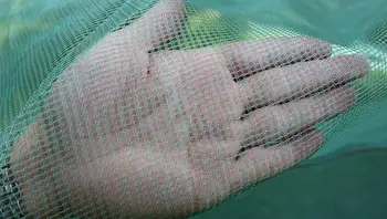 Finefish Ribe Neto Polje Posebne Plemenskih Neto Ulov v ribiške Mreže Loach jegulja Kmetijsko Neto Polje Rakci Pobeg