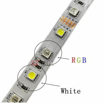 LED Trak 5050 RGBW DC12V Prilagodljivo Luči LED RGB + Bela / RGB + Topla Bela, 60 LED/m 5m/veliko.