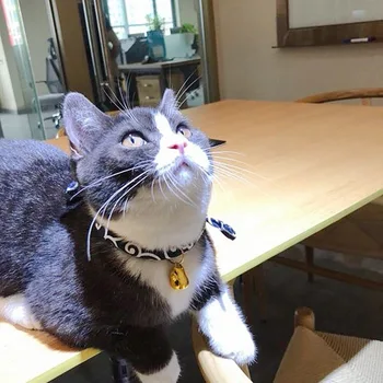Mačka Ovratnik Otroška Lutka Pes Varnost Elastična Nastavljiv Z Bell Ogrlica Psa Dodatki Japonski Stil