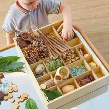 Montessori Material Senzorično Zaklad Košarico Bor Cone Montessori/Hevristična igrajo Različne Teme so na Voljo Senzorično Škatlo
