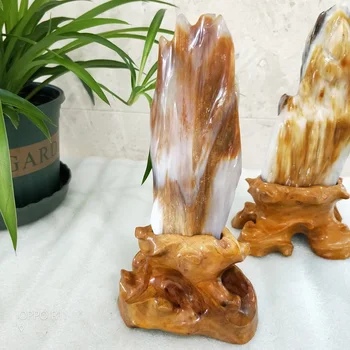Naravni Strah Lesa Kristalno Kremen mineralnih Fosilnih Umetnosti Kamni Doma Decors Vode-oprati Kamni Strah lesa podvodno