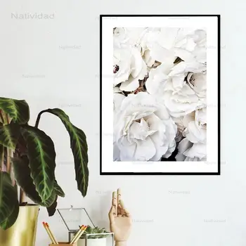 Nordijska Bele Vrtnice, Plakati, Evkaliptus Veje Wall Art Slik, Dnevna Soba Dekorativni Sodobne Platno Slikarstvo Brez Okvirja