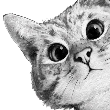 Nordijska Črno-Belo Art Živalskih Plakatov in Fotografij Srčkan Mačke Platno Slikarstvo Stenske Slike za dnevno Sobo Cuadros Doma Dekor
