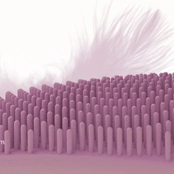 Obraz Čistilo Induktivno Polnjenje Sonic Vibracije Električni Obraza Ščetka Za Čiščenje Silikona Za Nego Kože