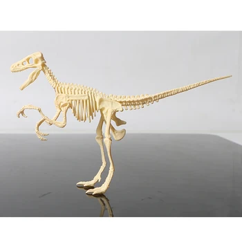 Otroci Igrače Plastične 3D okostje Triceratops/stegosaurus/velociraptor/mamuta DIY Sestavljeni Dinozaver Modeli Za Otroke Komplet Igrač