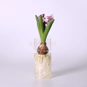 Pregledna Hyacinth Steklena Vaza Cvet Planter Pot DIY Terarija Posodo Dekor