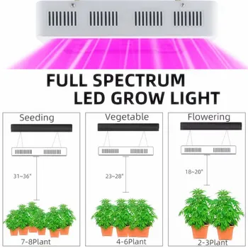 Qkwin 1000W Dvojno Čip LED Grow Light 100x10W Celoten Spekter 410-730nm Za Sobne Rastline in Rože z Zelo Visok Donos