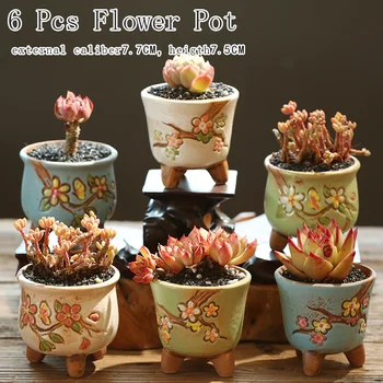 Spomladi in Cvet Serije Flower Pot Sočna Kaktus Pot Rastlinskih Vrt Keramični Planter Lončkih na Prostem Vrt