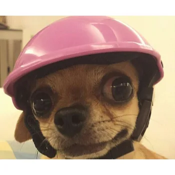 Srčkan Pets Lep Biker Pes Pokrivalo Čelade Osvobodi Skp Kuža Motocikel Zaščito