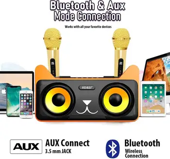Strokovni 2-Kanalni Mikrofon Karaoke Domov Sistem Nastaviti Dvojni Brezžični Mikrofon z Bluetooth Zvočnik za Stranke Petje