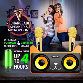 Strokovni 2-Kanalni Mikrofon Karaoke Domov Sistem Nastaviti Dvojni Brezžični Mikrofon z Bluetooth Zvočnik za Stranke Petje