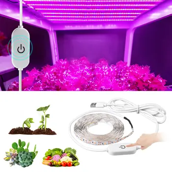 USB LED Rastejo Luči Ffs Svetilke 3m 5V Celoten Spekter LED Raste Svetilko z Dotik Nadzor Stikalo Za Sobne Rastline Rastejo Polje Šotor
