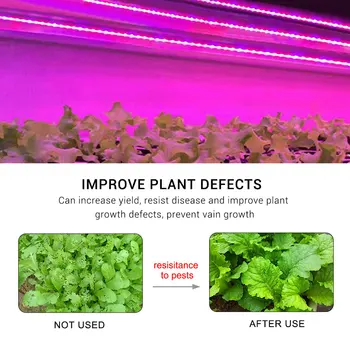 USB LED Rastejo Luči Ffs Svetilke 3m 5V Celoten Spekter LED Raste Svetilko z Dotik Nadzor Stikalo Za Sobne Rastline Rastejo Polje Šotor