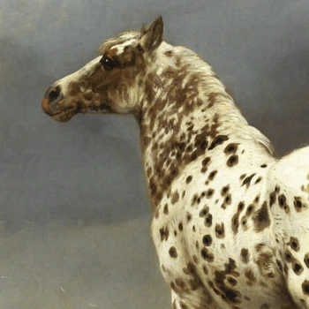 Vintage Konj Slikarsko Platno Natisne Konjeniški Umetnosti Stenske Slike , Živali Konji Pokončni Plakat, Kmečki Dom Soba Dekoracijo
