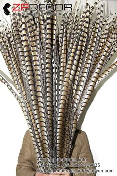 ZPDECOR 40-44inch(100-110 cm) 50pieces/veliko Super Dolgo Naravna Dama Amherst Fazan Rep Perje za Pusta Headdress Dekor