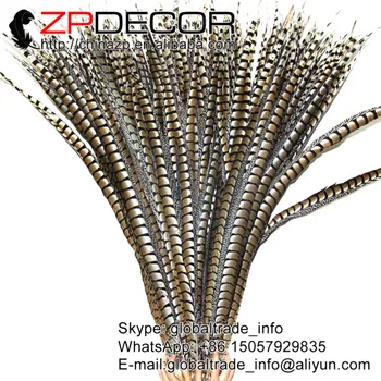 ZPDECOR 40-44inch(100-110 cm) 50pieces/veliko Super Dolgo Naravna Dama Amherst Fazan Rep Perje za Pusta Headdress Dekor